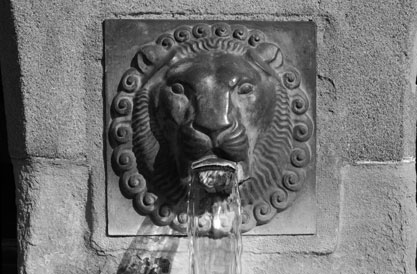 Fischmarkt - Brunnen mit Löwenkopf, ein kraftvoller Wasserstrahl aus dem Maul